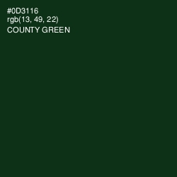 #0D3116 - County Green Color Image